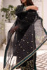 Picture of Mini Kavi