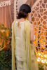 Picture of Noore Mini