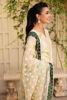 Picture of Jehaan - chiffon plain dupatta with green borders