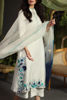 Picture of Amal