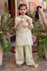 Picture of Noore Mini