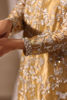 Picture of Lumara - Net Dupatta with Chan
