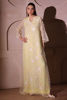 Picture of Daffodil