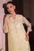 Picture of Daffodil