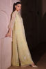 Picture of Daffodil
